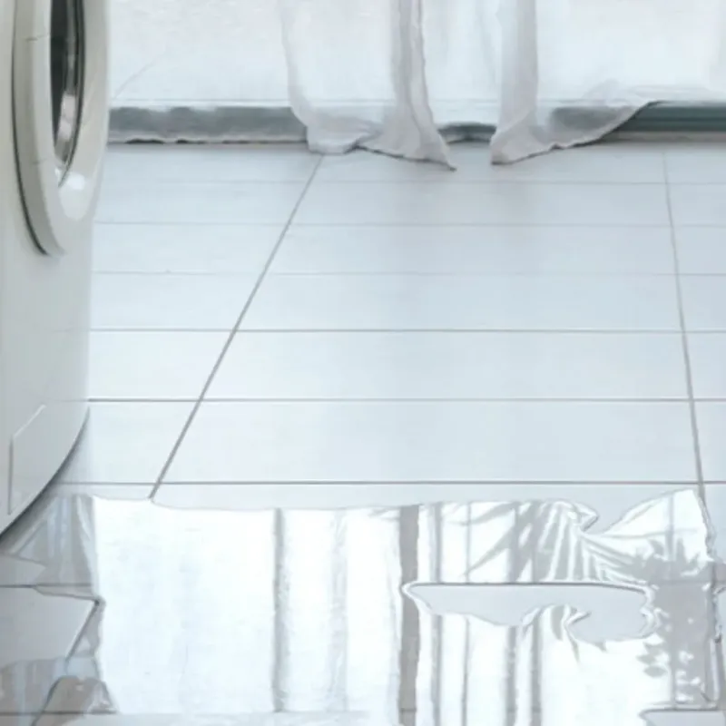 Appliance Leak Cleanup in Carter County, TN