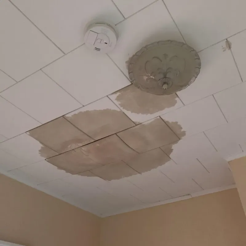Ceiling Water Damage Repair in Carter County, TN