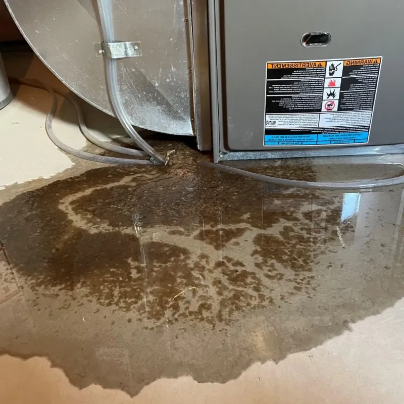 Pipe Burst and Leak Restoration in Carter County, TN