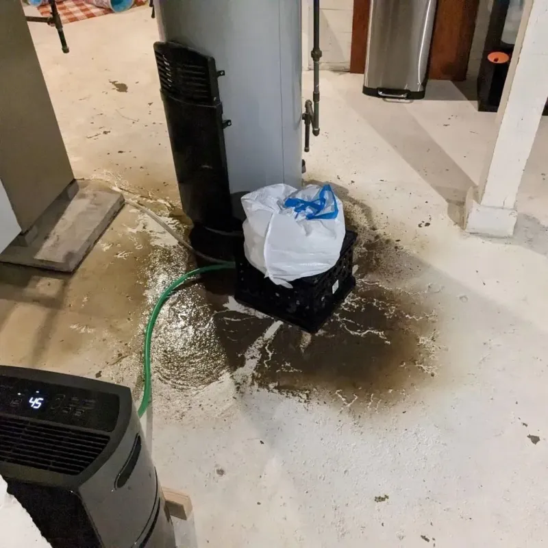 Sewage Backup Cleanup Service in Carter County, TN